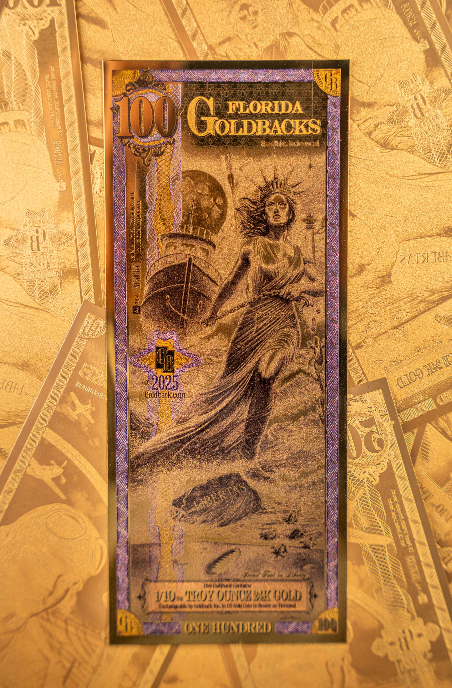 Florida 100 Goldback