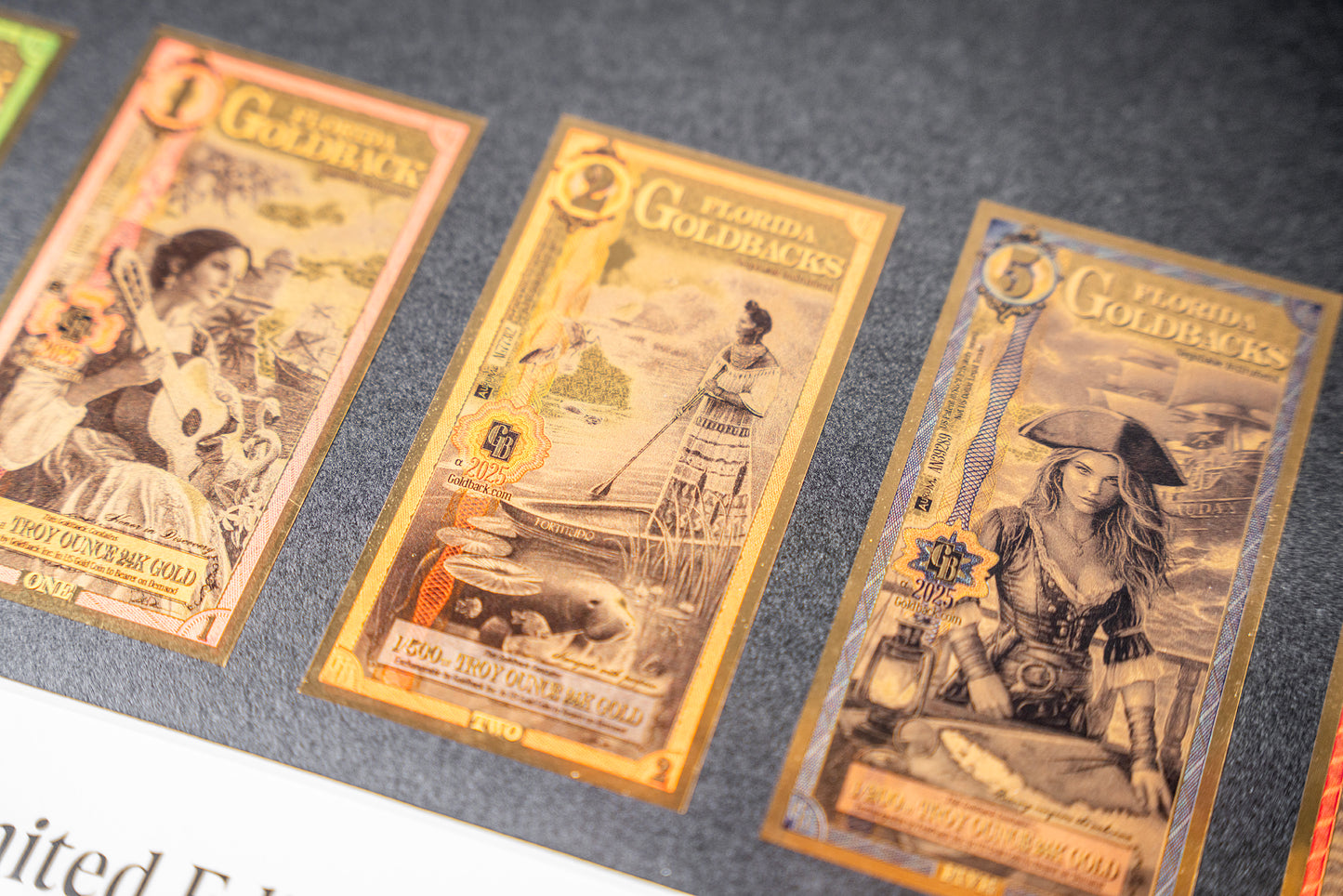 2025 Florida Goldback Commemorative Frame - Limited Edition