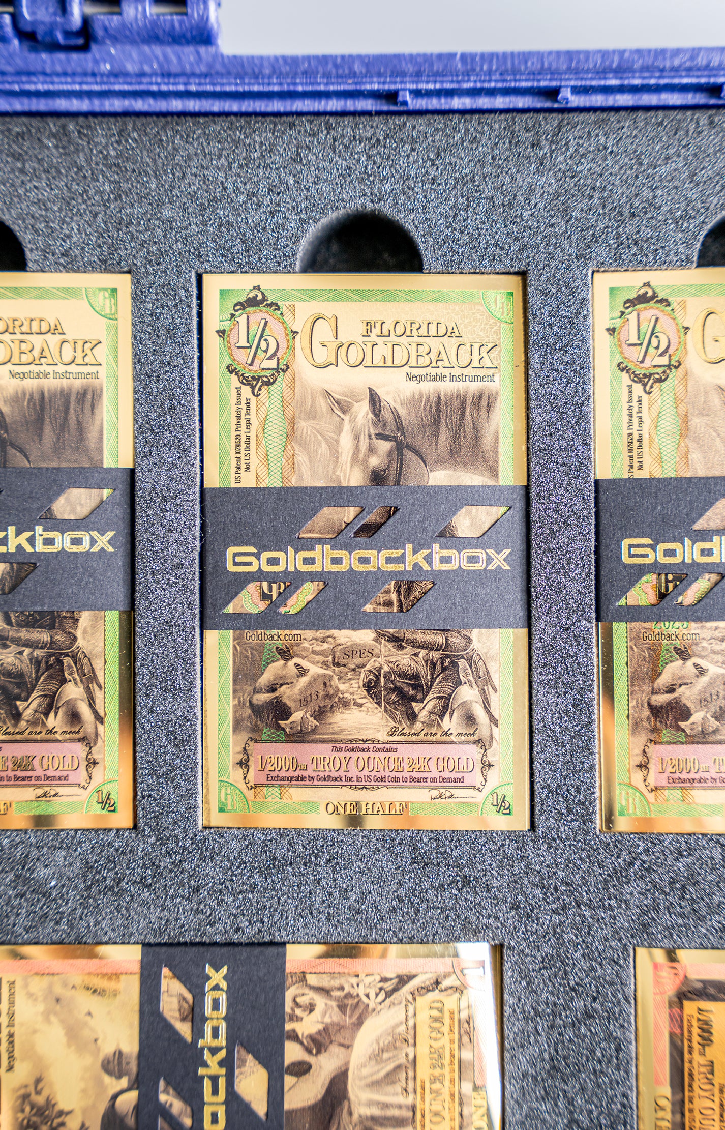 The GoldbackBox - Florida 2025 Series