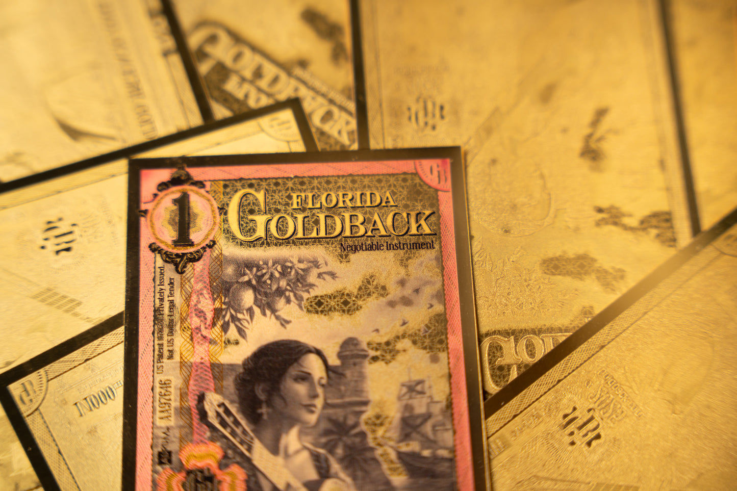 Florida 1 Goldback