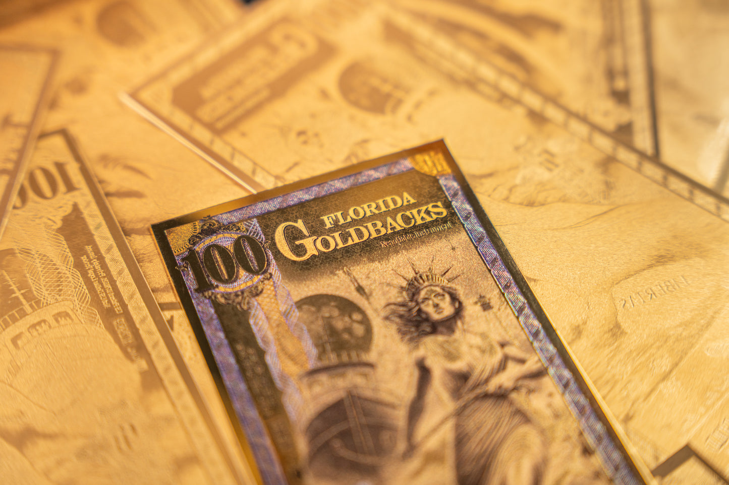 Florida 100 Goldback