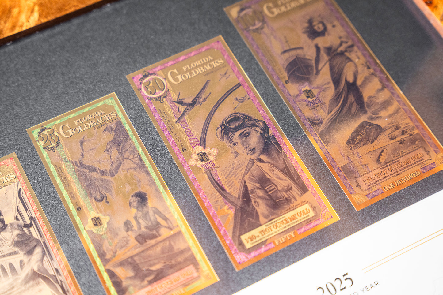 2025 Florida Goldback Commemorative Frame - Limited Edition