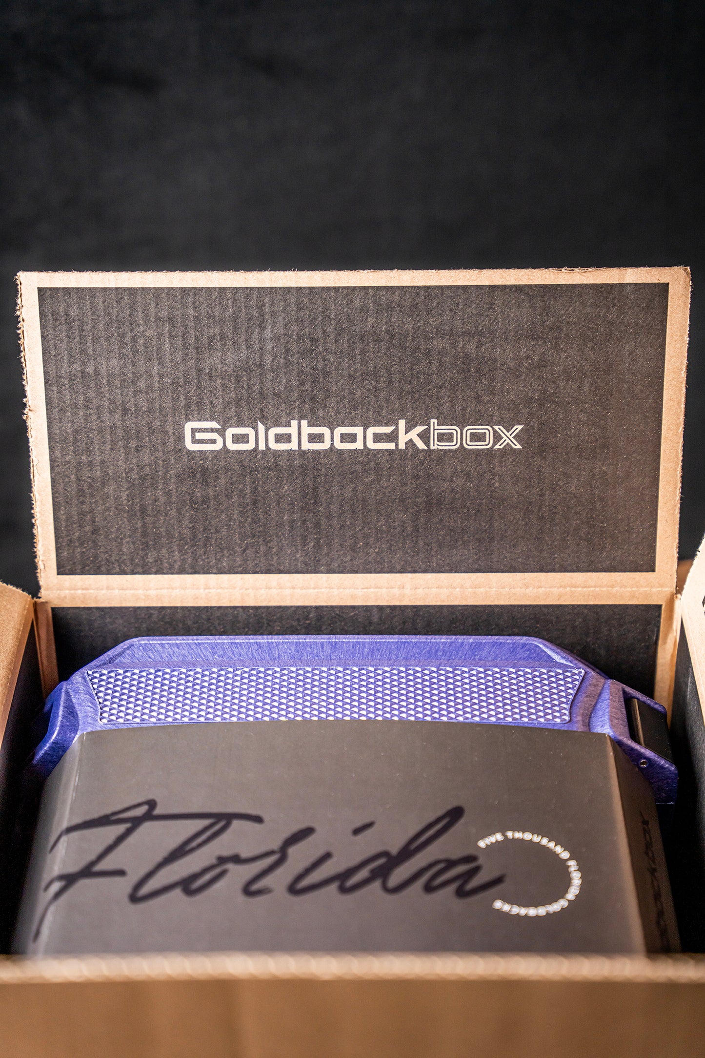 The GoldbackBox - Florida 2025 Series