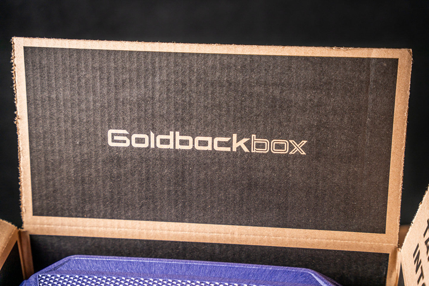 The GoldbackBox - Florida 2025 Series